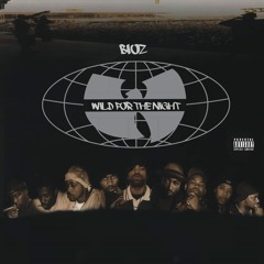 BiOZ - WILD FOR THE NIGHT