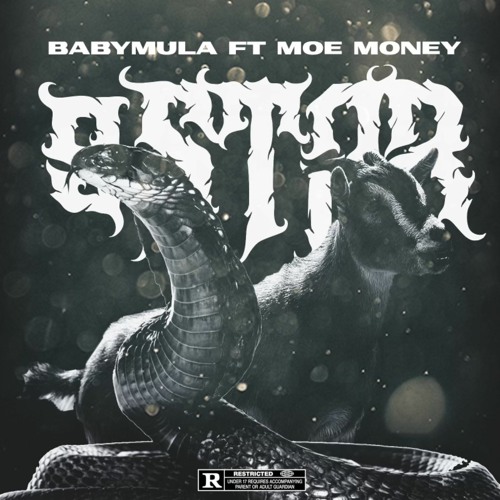 Baby Mula ft Moe Money - 5STAR