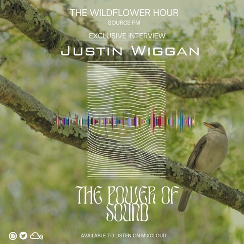 Justin Wiggan Interview | Field Notes: Conversations with Creatives | The Wildflower Hour