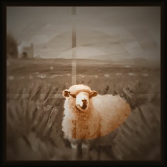 Mystic Sheep