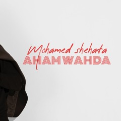 Mohamed Shehata - Ahm Wahda