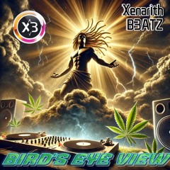 Birds eye View [Ragga Jungle]