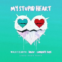 Walk off the Earth, Lauv & Luminati Suns - My Stupid Heart (Lindo Habie Remix)