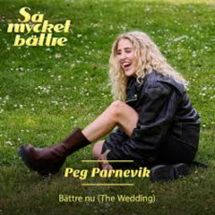 Bättre nu - Peg Parnevik (STX Remix)