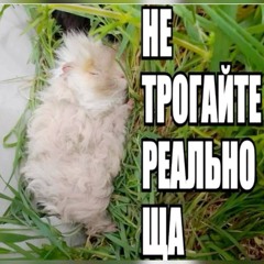 четакоечетакое