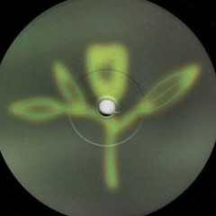 Zion town cover- Zee Roots