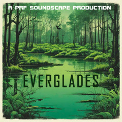 Everglades
