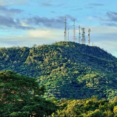 ALPHA 9 (ARTY) - ID (Intro Edit) .mp3