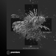 Premiere: IPI - Nutcracker Blues - ebb + flow Records