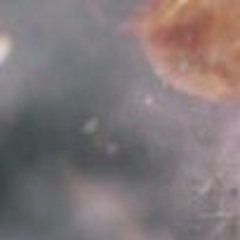 La rue m’a tourné l’dos - Noh4ine.mp3