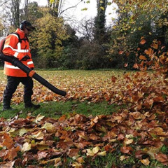 The Real Cost of Neglecting Grounds Maintenance for Businesses