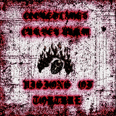 COOKEDLXNGS X CARVEY HARM - VISIONS OF TORTURE [PROD. HASHWAY]