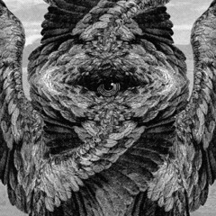 Sex, food, or dessert