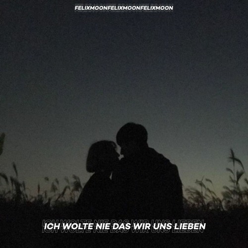 ICH WOLLTE NIE DAS WIR UNS LIEBEN (TECHNO)