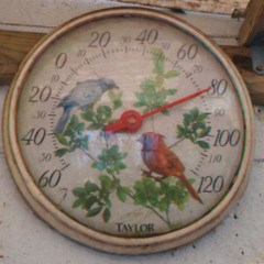 bigfoot savings time