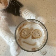 the warm sunright and my cat - kotaro