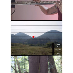 Partituras paisagens / Terrafias n.5