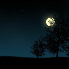 Adhi Raat Andhari Ja - Rajab Faqeer - Sindhi Song