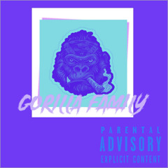 Gorilla Family 🦍🌀 - Guu Baby