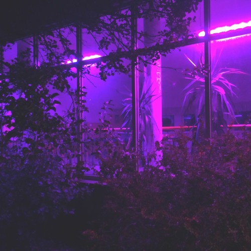 Insomniac - memo boy (slowed)