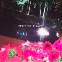 奇異SOTSUNA - BEAUTIFUL FLOWERS