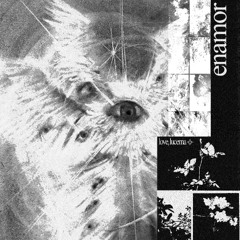 enamor