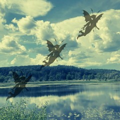 fly away (feat. svnam) (prod. rinne)
