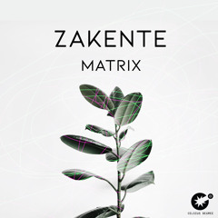 Zakente - Matrix ( Original Mix )