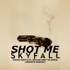 David Guetta Ft. Skylar Grey vs Adele - Shot Me Skyfall (onefetS Intro Mashup)