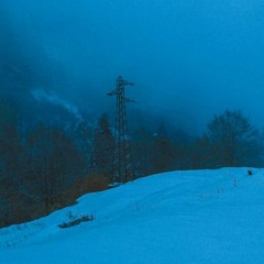 frost (w/leapyear)