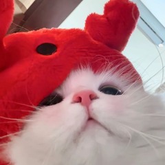 Buồn không thể buông - WestD remix