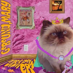 She's a Poser - Girls Gone Wild Tribute