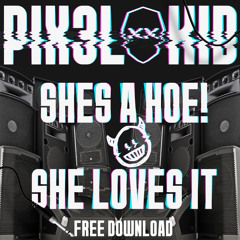 She's A Hoe! She Loves It (PIX3L KID MASH UP - Dirty Edit)