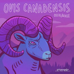 Ossa - Ovis Canadensis - FIGsy (M. Sylvia Remix)