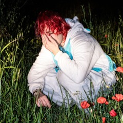 Forse non è ancora primavera