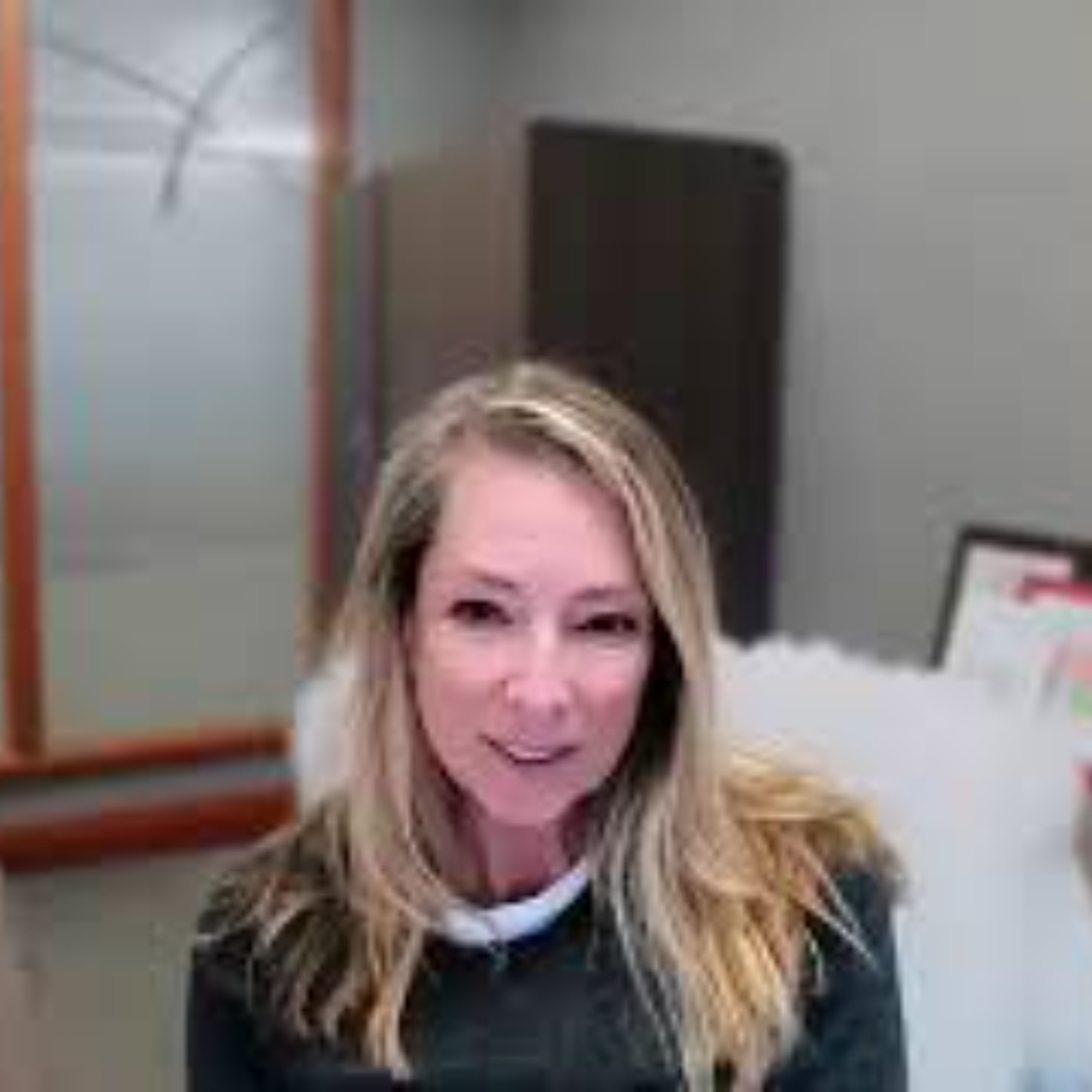 Michigan Business Network