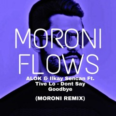 Don't Say Goodbye - ALOK & Ilkay Sencan ft. Tive Lo (MORONI REMIX)