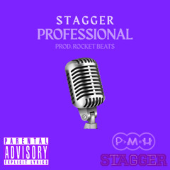 PROFESSIONAL