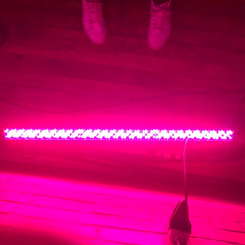 T h e  S l e e p e r s