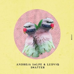 PREMIERE430 // Andreja Salpe & Ludviq - Shatter (Ravintsara Remix)