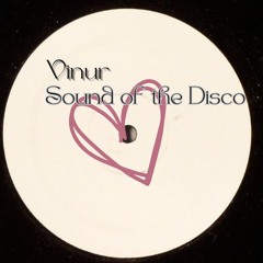 Vinur - Sound Of The Disco