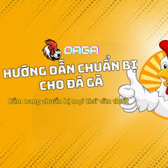 Hướng dẫn chuẩn bị cho đá gà – Cẩm nang chuẩn bị mọi thứ cần thiết