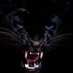 The Darkness Is Beautiful