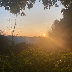 Let The Sun In