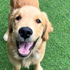 영화처럼 Inst