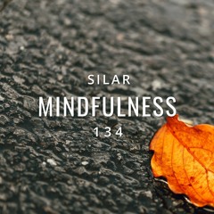 Mindfulness Episode 134
