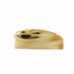 I am Covid Haver