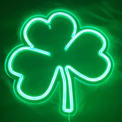 Scott Fetherston - Paddys day 24