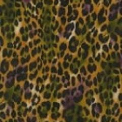 jungle soul