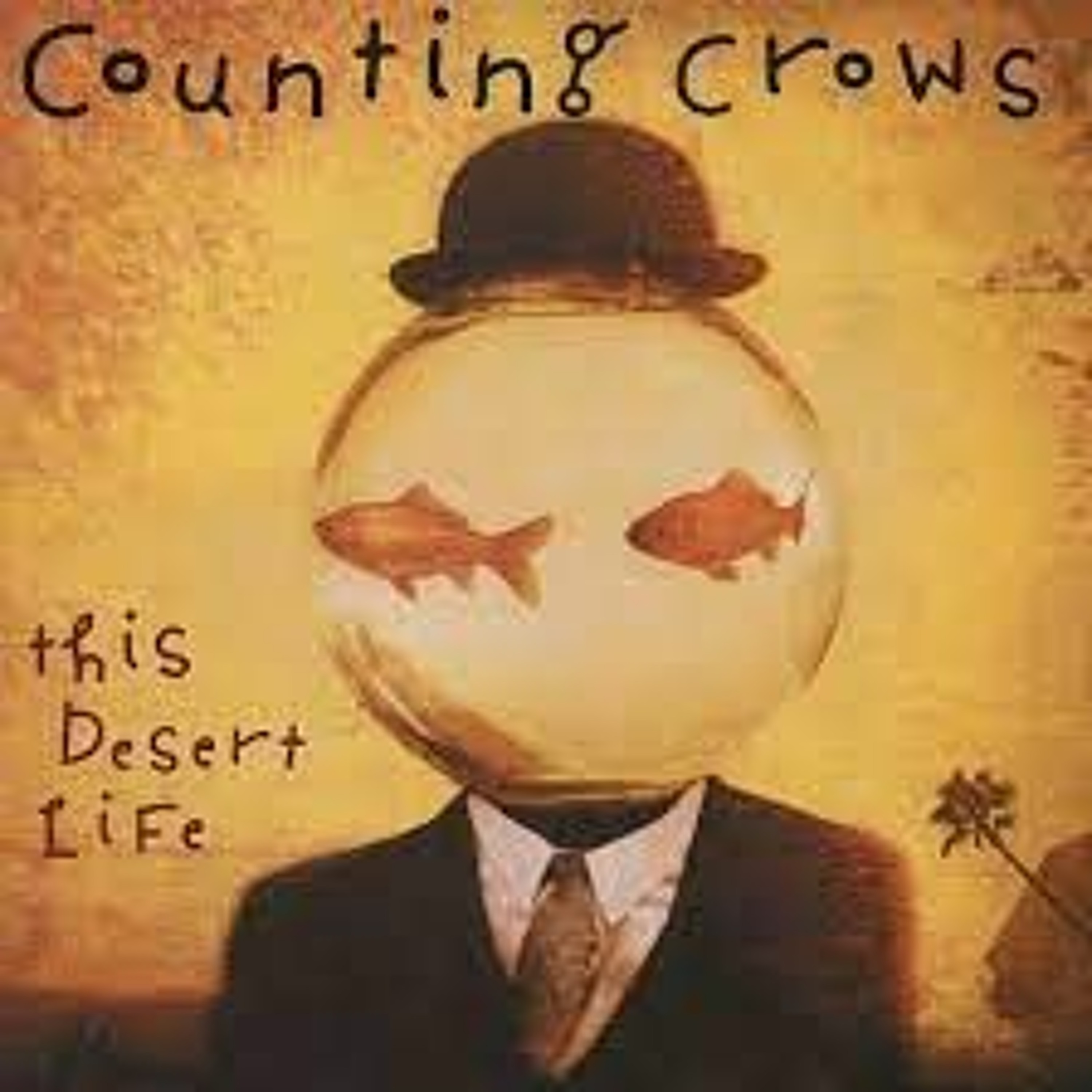 Colorblind (Counting Crows Cover) episode artwork
